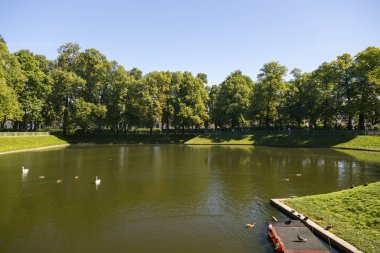 St. Petersburg, Rusya - 08 Ağustos 2018: Karpiev gölet, St. Petersburg yaz bahçesinde Gölü