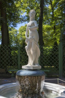 St. Petersburg, Rusya - 08 Ağustos 2018: Geç XVII - İtalyan ustaları tarafından mermer heykel koleksiyonu heykelinden erken XVIII yüzyıl St Petersburg yaz bahçesinde