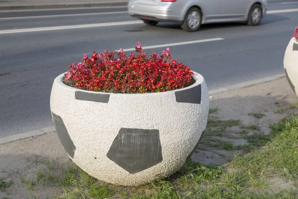 Petergof São Petersburgo Rússia Agosto 2018 Canteiro Flores Forma Uma — Fotografia de Stock