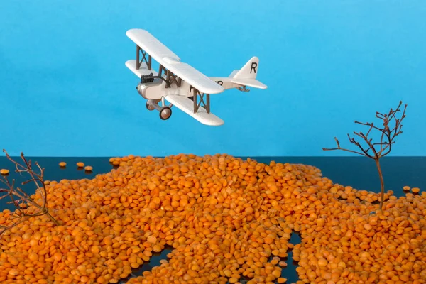 海と古い飛行機のモデルにある島の風景します レンズ豆 植物の枝の粒のインストール — ストック写真