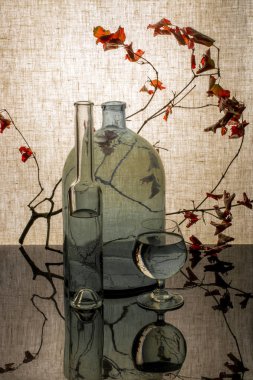 Şişeler, cam ve yaprakları ile bir şube ile natürmort