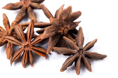 Fruits of Star anise on a white background
