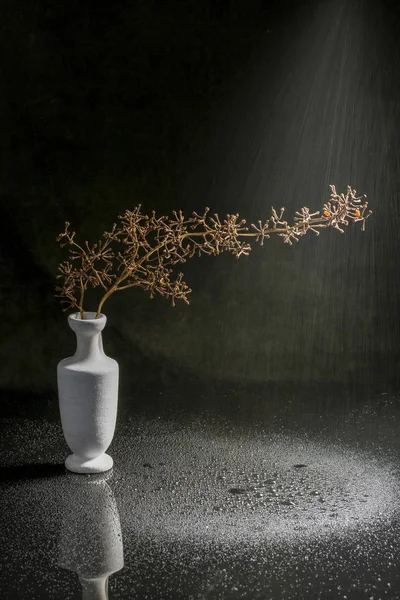 Natureza Morta Com Vaso Branco Ramo Seco Uvas — Fotografia de Stock