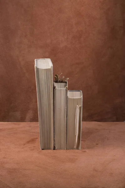 Stillleben Mit Drei Büchern Auf Dem Tisch — Stockfoto