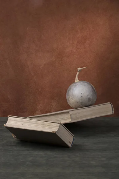 Surreal Still Life with Dried Pumpkin and Books