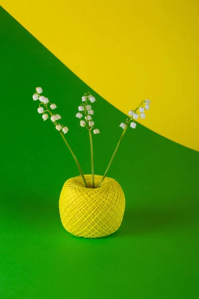 Lírio Vale Flores Uma Bola Linha Sobre Fundo Colorido — Fotografia de Stock