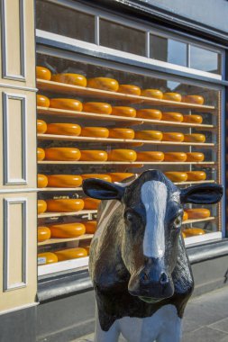 Amsterdam, Hollanda - 03 Temmuz 2018: Mağaza vitrinindeki raflarda Ünlü Hollanda peynirinin arka planında bir figürü