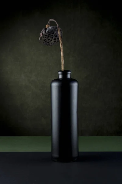 暗いボトルの多色の背景に花のない乾燥蓮の果実 — ストック写真