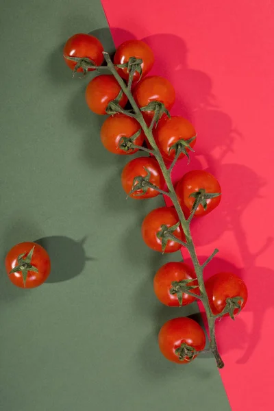 Ripe Red Cherry Tomatoes on Colored Background