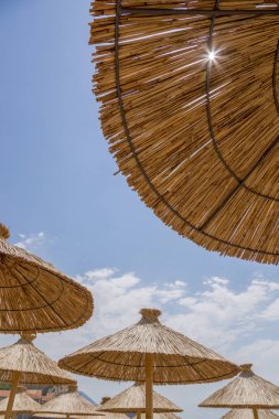 Güneşten gelen şemsiyeler gökyüzüne karşı kumsaldaki sazlıklardan