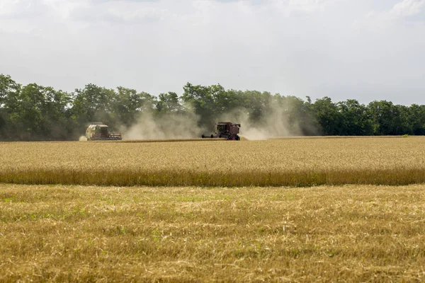 Innhøsting Hvete Med Landbruksmaskiner Jordet – stockfoto