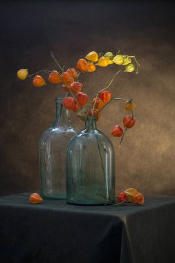 Cam kavanozlarda fizsalis dalları olan sakin bir hayat.