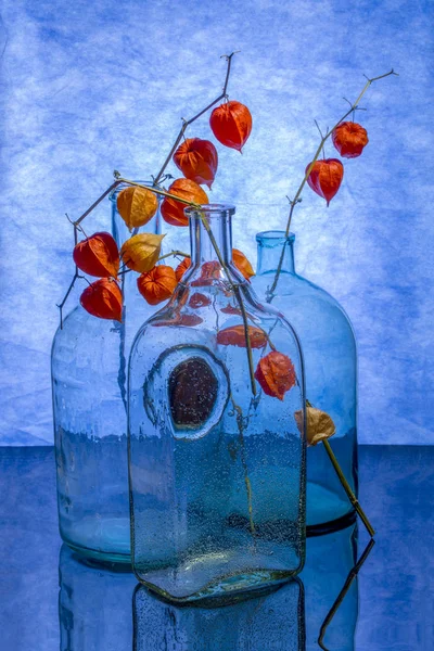 Nature Morte Avec Des Branches Physalis Dans Des Pots Verre — Photo