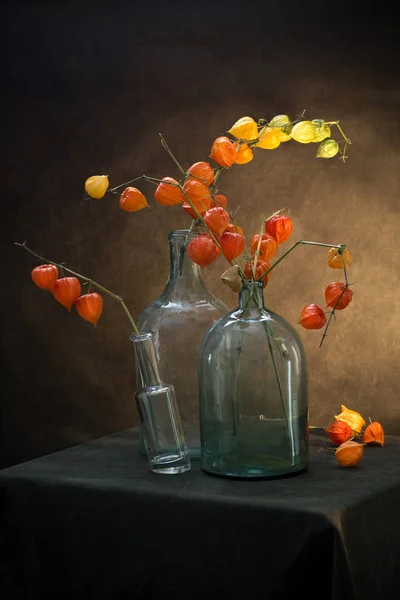 Still Life Branches Physalis Glass Jars — Stock Photo, Image
