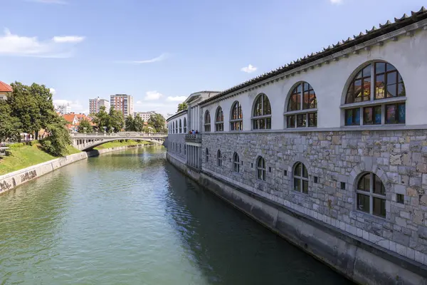 Ljubljana Slovenia August 2019 View Embankment Ljubljana River Ljubljana — Stock Photo, Image