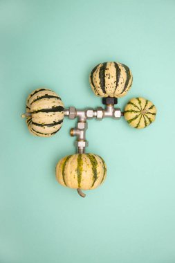 Dekoratif balkabaklarıyla ve renkli bir arka planda metal bir boruyla soyut bir hayat.