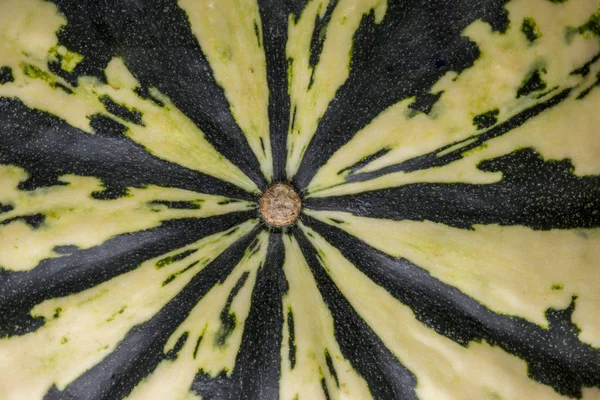 Background Texture Decorative Pumpkin Closeup — ストック写真