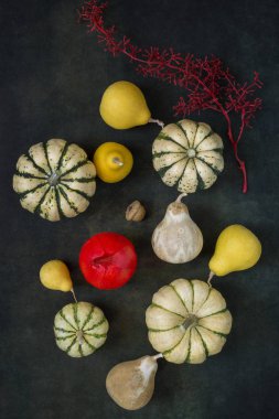 Süslü balkabaklarıyla sakin bir hayat, bir dal, bir meşe palamudu ve boyalı bir kırmızı balkabağı, üst manzara.