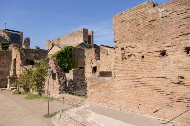 Roma, İtalya - 17 Ağustos 2019: Roma Forumunun antik yapılarına bakış