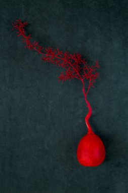 Boyanmış bir balkabağı ve dalla dolu bir hayat