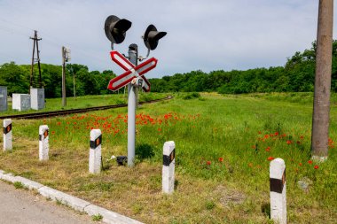 Demiryolu ve kırmızı gelincikli yaz manzarası