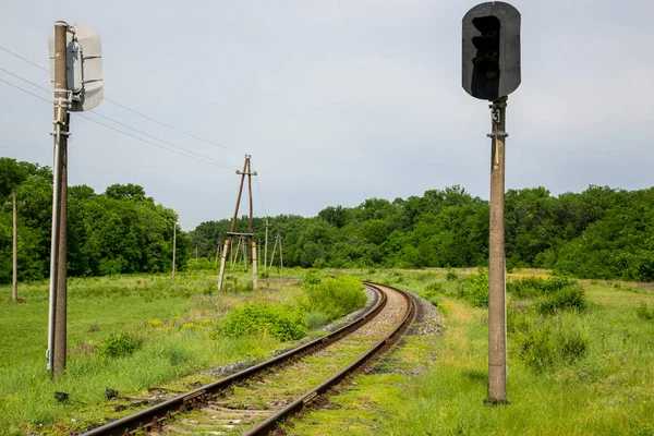 Sommarlandskap Med Järnväg Och Ekdunge — Stockfoto