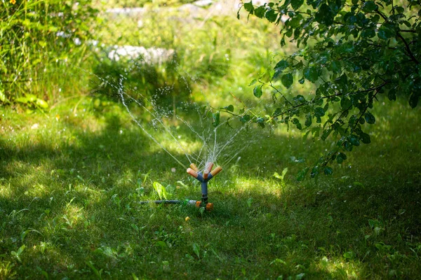 Bewässerung Des Wachsenden Rasens Mit Einem Universellen Gartenregner — Stockfoto