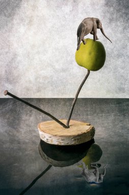 Gerçeküstü kolaj Filin elmadaki yolculuğu