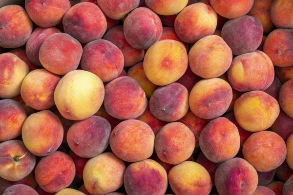 Arkaplan ve olgun şeftali dokusu. Meyve hasadı.