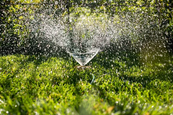 Aspersor Universal Jardín Sobre Césped Verde Con Una Fuente Agua —  Fotos de Stock