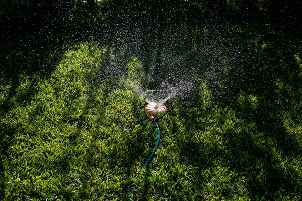 Arroseur Jardin Universel Sur Une Pelouse Verte Avec Une Fontaine — Photo