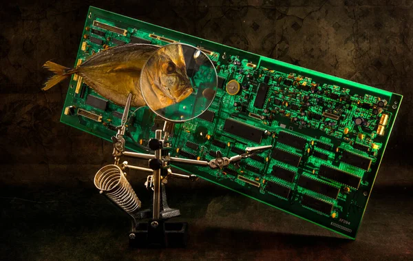Büyüteci Elektronik Bilgisayar Panosu Olan Balığı — Stok fotoğraf