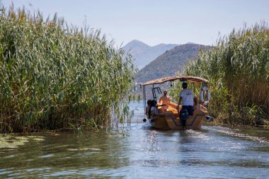 Skadar Gölü, Karadağ - 02 Ağustos 2017: Skadar Gölü 'nün durgun sularından bir tekne geçiyor