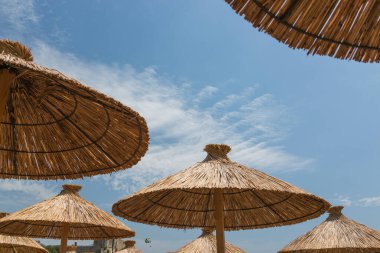 Güneşten gelen şemsiyeler gökyüzüne karşı kumsaldaki sazlıklardan