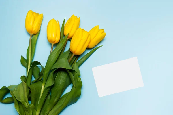 Tulipes jaunes avec carte de papier blanc sur fond bleu pour la décoration de la nature et le concept de printemps — Photo