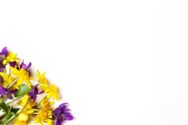 Çiçek bileşimi. Beyaz arka planda sarı ve menekşe çiçekler. Düz yatıyordu, üst görünüm, kopya alanı.