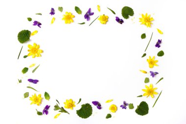 Çiçek bileşimi. Beyaz arka planda sarı ve menekşe çiçekler. Düz yatıyordu, üst görünüm, kopya alanı.