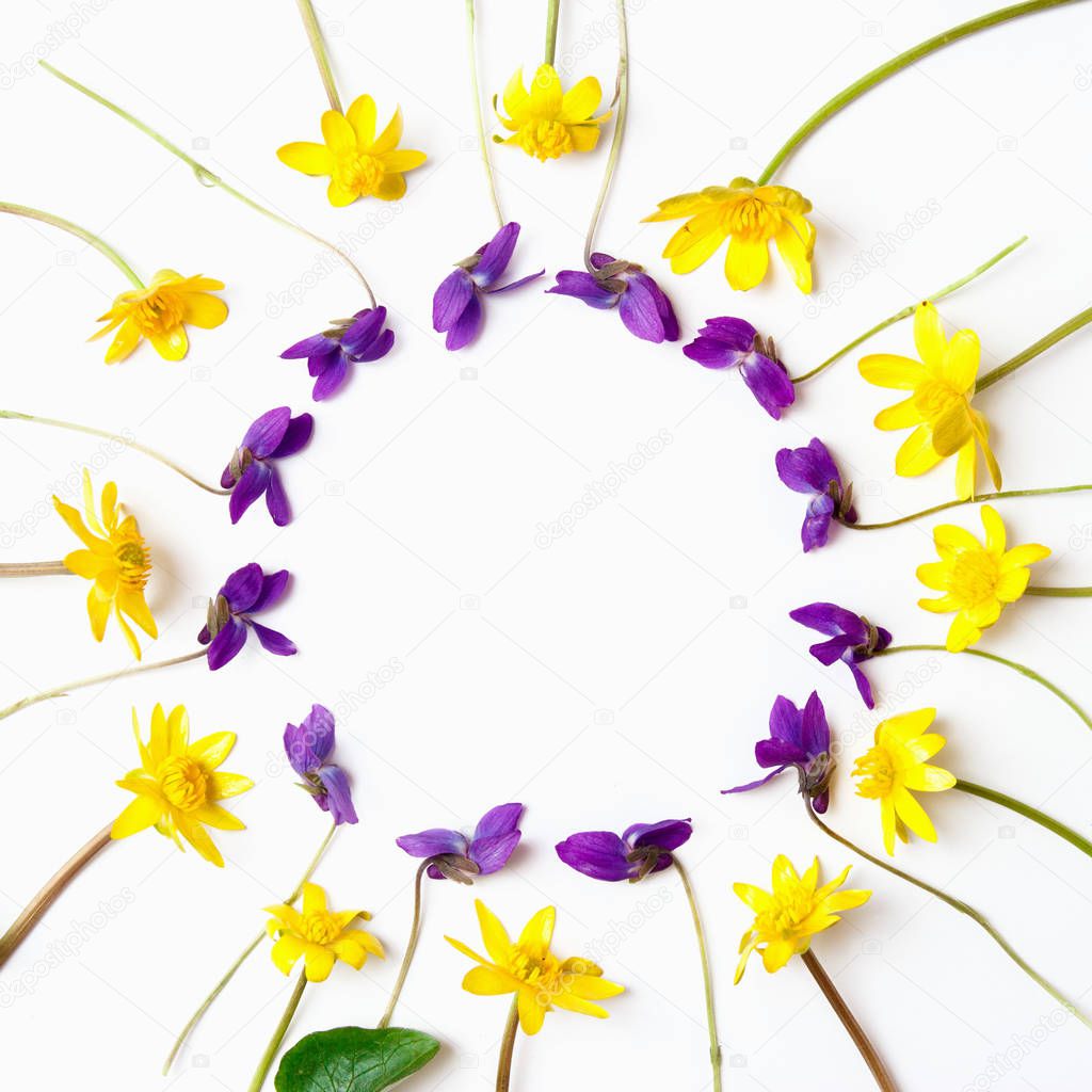 Floral composition. Yellow and violet flowers on white background. Flat lay, top view, copy space.