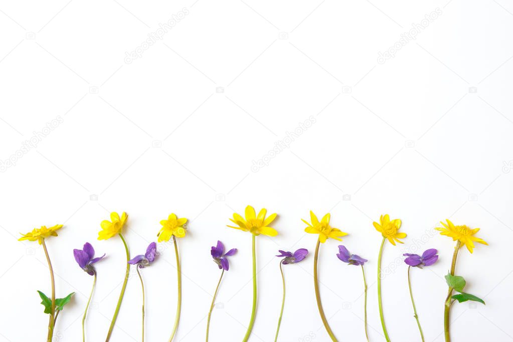 Floral composition. Yellow and violet flowers on white background. Flat lay, top view, copy space