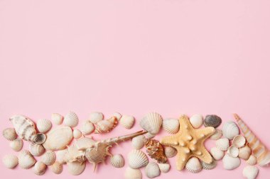 Deniz kabukları ve denizyıldızı soluk pembe bir arka plan üzerinde. Yaz saati konsepti. Üstte görüntü