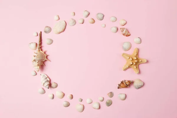 Морские ракушки и морская звезда на бледно-розовом фоне. Летнее время. Вид сверху — стоковое фото