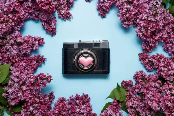 Mavi arka planda güzel leylak buketi ve retro fotoğraf kamerası