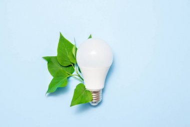 Mavi arka planda yaprakları ile Led lamba. Yeşil enerji verimliliği kavramı. Üstte görüntü.