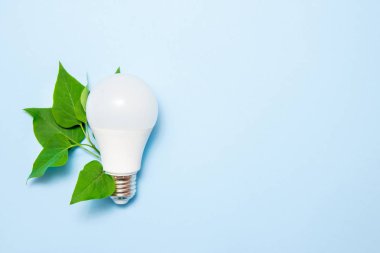 Mavi arka planda yaprakları ile Led lamba. Yeşil enerji verimliliği kavramı. Üstte görüntü.