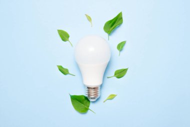 Mavi arka planda yaprakları ile Led lamba. Yeşil enerji verimliliği kavramı. Üstte görüntü.