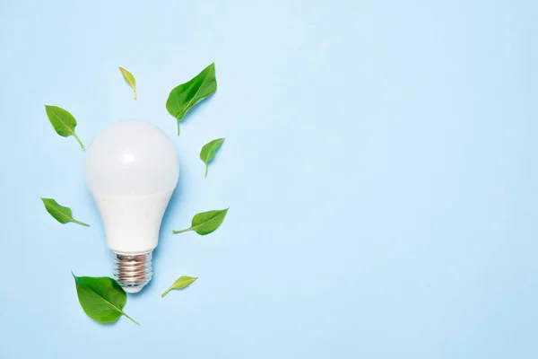 Mavi arka planda yaprakları ile Led lamba. Yeşil enerji verimliliği kavramı. Üstte görüntü.