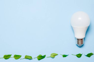 Mavi arka planda yaprakları ile Led lamba. Yeşil enerji verimliliği kavramı. Üstte görüntü.