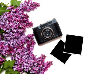 Retro film kamera ve beyaz izole photocards ile Leylak buketi.