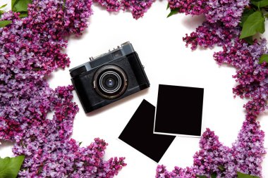 Retro film kamera ve beyaz izole photocards ile Leylak buketi.