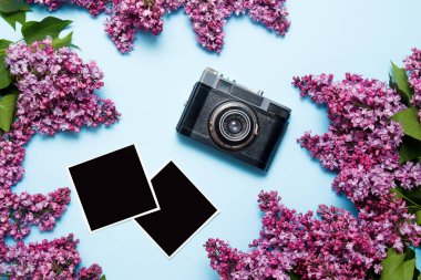 Retro film kamera ve mavi arka plan üzerinde photocards ile Leylak buketi. Üst görünüm, düz yatıyordu